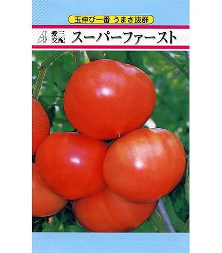 Amazon.co.jp: 植物種子 超巨大トマト 種 4粒 F1品種 : DIY・工具