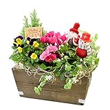 フラワーマーケット花由 クリスマスの寄せ植え クリスマスガーデン 5日後以降にお届け