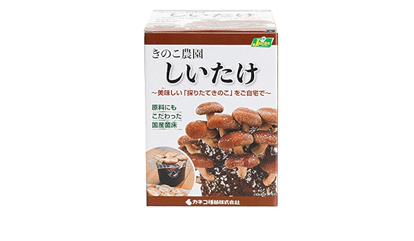 Amazon Co Jp カネコ種苗 きのこ農園 しいたけ コーナン限定販売商品 Diy 工具 ガーデン