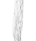 Amazon｜東京堂(Tokyodo) 東北花材 TOKA ドライフラワー うん