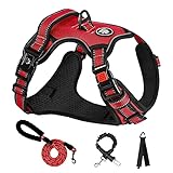 NESTROAD 犬 ハーネス＆リードセット ドッグシートベルト＆バッグフック付き 犬用胴輪 調節可能 夜間反射 小型犬/中型犬/大型犬 通気性 メッシュ 歩行補助 散歩 しつけ用 軽量 安全 おしゃれ 引っ張り防止 ドッグ 訓練 柴犬 秋田犬 (赤, S)