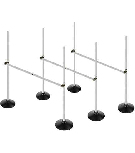 Amazon | ダンノ(DANNO) ラダーハードル D345 全長500×幅52cm(1コマ幅