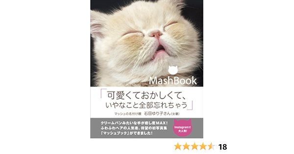 Mash Book 岡野 瑞恵 写真 Kindleストア Amazon