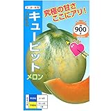 ナント種苗 キューピット(メロン)