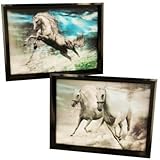 Kole Imports OD865 3D Holographic Horse Framed Wall Art [並行輸入品]