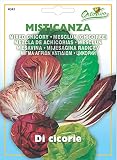 野菜の種 チコリーMIX