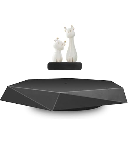 Présentoir Lévitation Levitexa Nimbus - Support Magnétique Pour Figurines Jusqu'à 400g