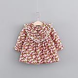 ベビー服ワンピース 子供服 女の子 Pojour 長袖ドレス 可愛い花 秋冬 オシャレ 通園 発表会 旅行 記念日 プレゼント 赤