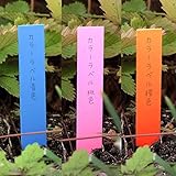 ゴールドカラーラベル1.2×9cm 3色（青・桃・橙）300枚[鉛筆で書ける植物用品種ラベル] ノーブランド品