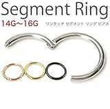 FdP1年保証 セグメントリング