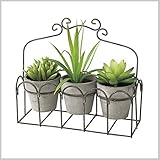 SPICE ワイヤーバスケット入りフェイクグリーン3個セット グレー DECOR IMITATION TADY4039GY