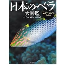 51vzQ9XTrdL._AC_UL210_SR210,