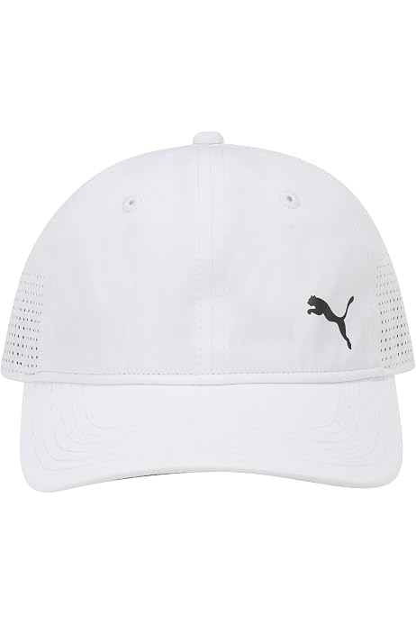 PUMA Men's Standard Evercat Stream 