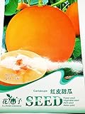 【野菜種】オレンジ色メロン　珍しい品種
