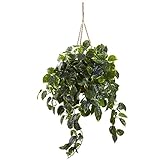 Nearly Natural 6844 Pothos Hanging Basket UV Resistant【クリスマス】【ツリー】 [並行輸入品]