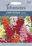 英国ミスターフォザーギルズシード＆ジョンソンシード Bees & Butterflies ビーズ＆バタフライズ・Antirrhinum Sachmo アンチヒナム・サッチモ