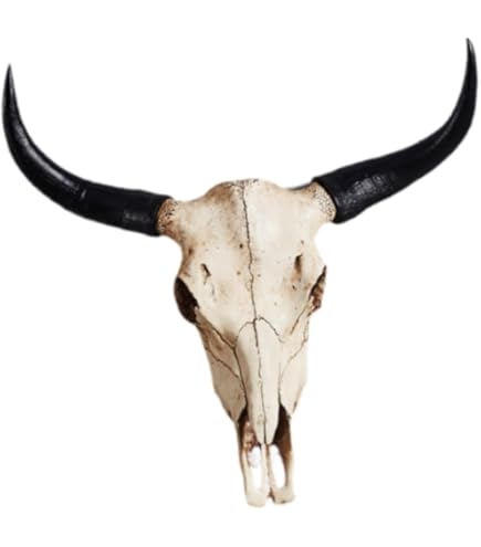 Amazon.co.jp: Folpus 雄牛の頭蓋骨 雄牛の頭の頭蓋骨 壁掛け 人工の