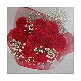 【母の日対象商品】カーネーションの花束/カーネーションブーケ (赤)