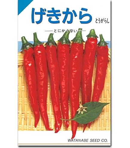 Amazon | 唐辛子 種 【 朝鮮なんばん (激辛) 】 種子 10ml | 野菜