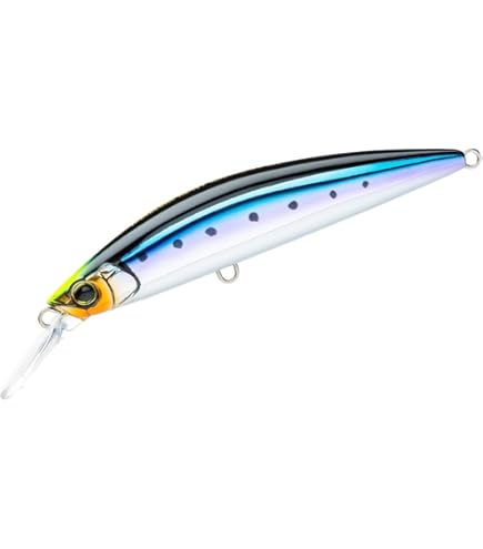 Amazon | アズーロ サワラミノー 【サワラ サゴシ 青物 シーバス