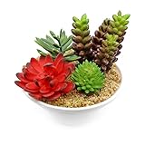 The perseids ミニ多肉植物【造花】 (Model 2)