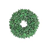 彩か SAIKA リース S 緑 グリーン インテリア 玄関飾り シンプル CXO-101Sgr Sting Wreath S Green)