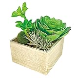 ホワイエ 造花 TN多肉アレンジスクエアー 14xH18 6e40018