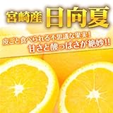 宮崎県産　日向夏　約2.5kg詰め　10~13玉入り