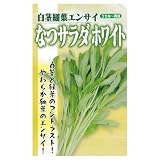 フタバ種苗 うちな～交配 なつサラダ ホワイト （葉菜類） 小袋詰(20ml) [カラー:ホワイト]