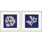 Paragon Decor Seaweed on Navy Iフレーム壁アート – 2のセット 1"D x 27"W x 27"H ベージュ 3506