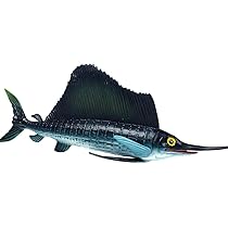 バショウカジキ　特注品　鼻先　少し欠けあり For Display：魚のすみか vol.12 – Favorite official website