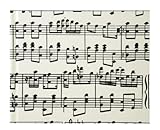 ナカバヤシ Caspari カスパリ ブックタイプアルバム 100年台紙 ミニサイズ 音符 ミニB-100-012-49