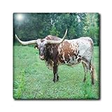 3drose CT _ 101754 _ 1の画像をTexas Longhorn Bullセラミックタイル、4インチ