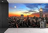 (ウォール26) wall26 自己粘着式壁紙 大型壁面シリーズ 100"x144" WMR-WP-X-C751-100x24x6