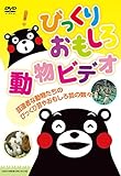 �т����肨�����듮���r�f�I