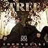 東方神起「TREE (ALBUM+DVD) (Type-B)」
