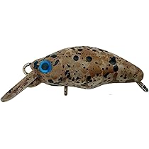 ダンゴウオ Amazon.co.jp: スミス(SMITH LTD) ダンゴウオSR-Low 02 ショコラ