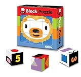 Briarpatch SAMi Block Puzzle [並行輸入品]