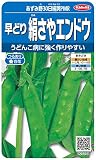 サカタのタネ 実咲野菜7270 あずみ野30日絹莢ＰＭＲ 早どり絹さやエンドウ 10袋セット