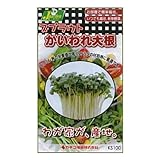 カネコ種苗 園芸・種 KS100シリーズ かいわれ大根 野菜100 751
