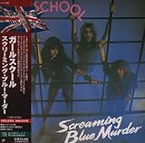 �X�N���[�~���O�E�u���[�E�}�[�_�[