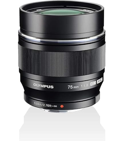 Amazon.co.jp: OLYMPUS M.ZUIKO DIGITAL ED 8-25mm F4.0 PRO BLK