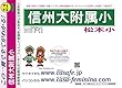 信州大学附属松本小学校【長野県】 予想・模試4種セット 1割引 (予想問題集A1、直前模試A1、合格模試A1、開運模試A1)