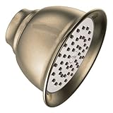 Moen 6302AZ Moenflo XL Single Function Showerhead, Antique Bronze [並行輸入品]