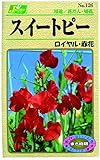 カネコ種苗 草花タネ126 スイートピー ロイヤル 赤花 10袋セット
