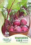 ガーデンレッドビート種子野菜、35 /袋シュガービート血中カルシウムホーム＆ガーデンの植物の種子
