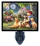 Night Light – America The Beautiful – Patriotic – 犬 – Cats – Fireworks LED Night Light
