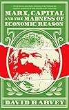 Marx, Capital and the Madness of Economic Reason