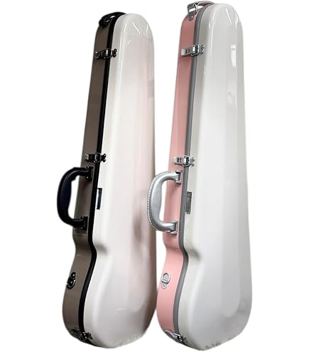 Amazon | EASTMAN バイオリンハードケース 4/4 スタンダード ブラック