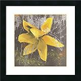 アートフレーム印刷' Tulip Fresco ( Yellow ) ' by Erin Clark Size: 18 x 18 (Approx), Matted グレー 3803963